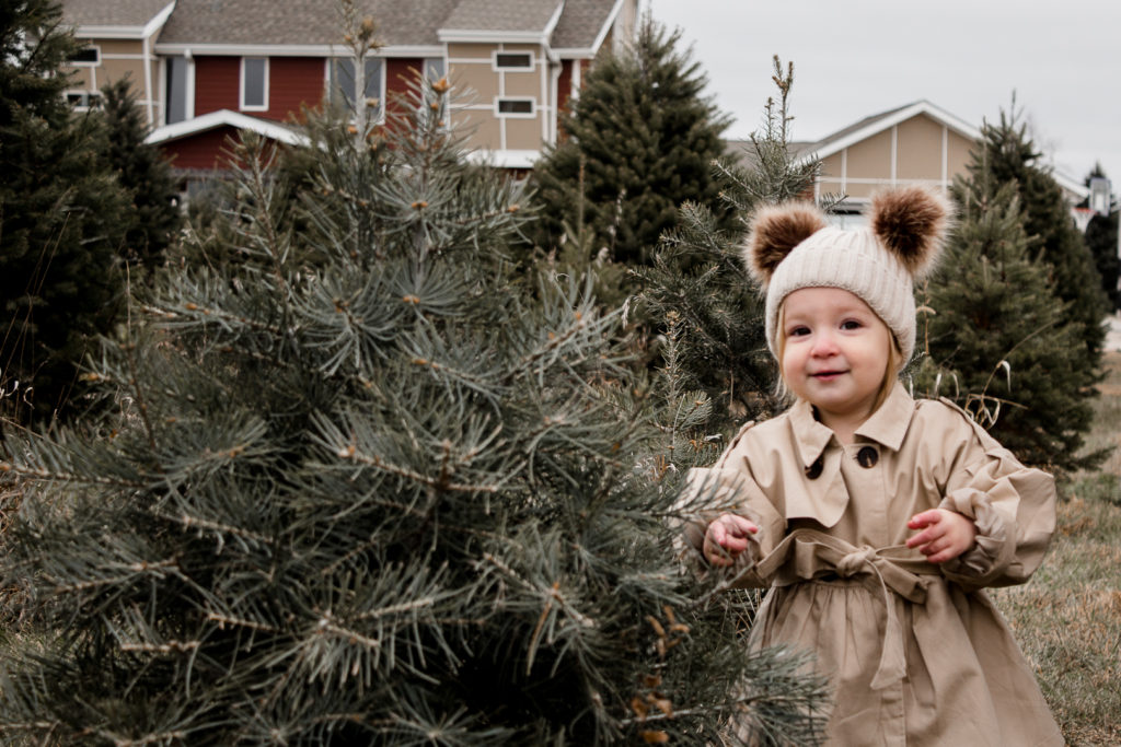 Omaha Christmas Tree Farm 9