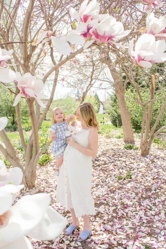 Magnolia Tree Maternity Photos 18