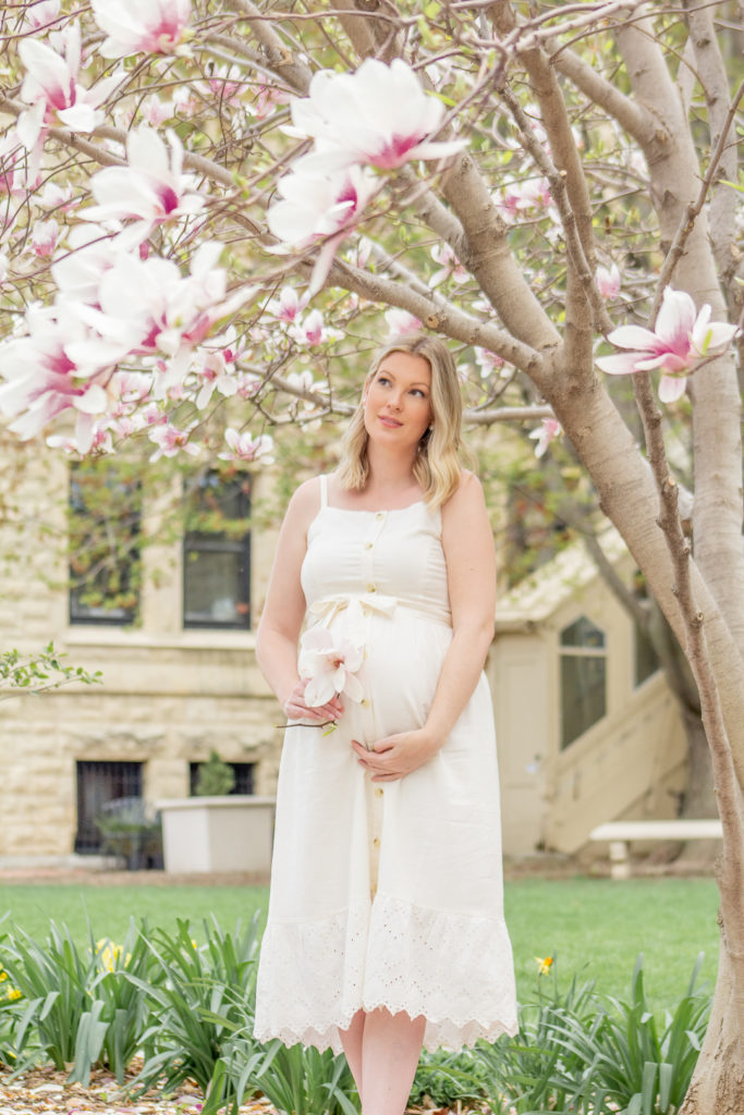 Magnolia Tree Maternity Photos 10