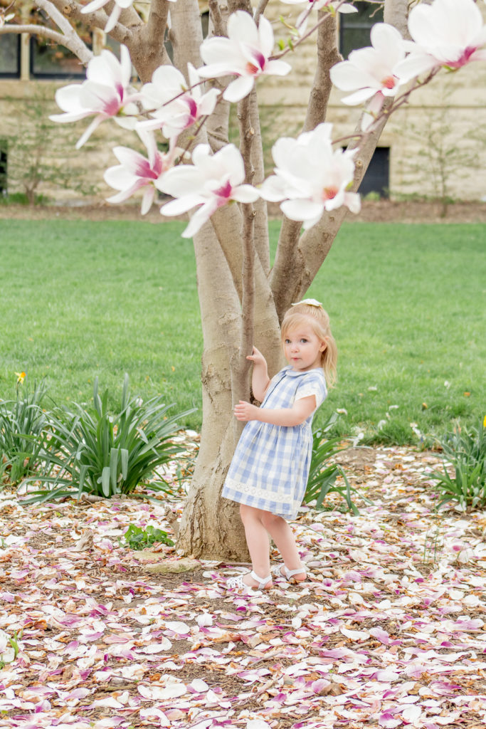 Magnolia Tree Maternity Photos 9