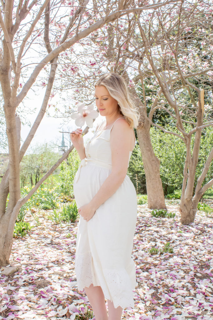 Magnolia Tree Maternity Photos 23