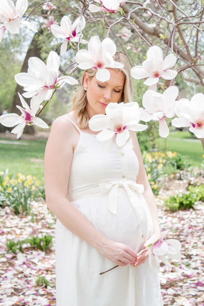 Magnolia Tree Maternity Photos 6