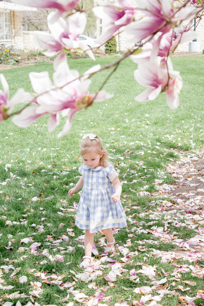 Magnolia Tree Maternity Photos 3