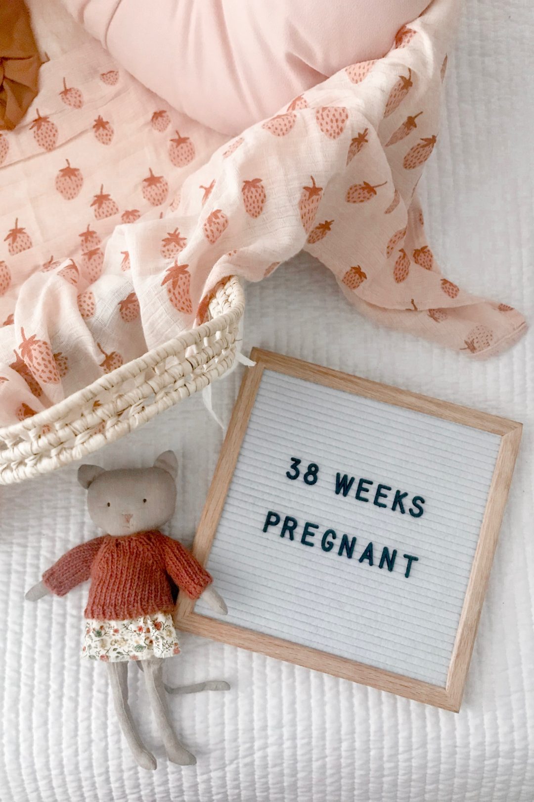 Third Trimester 1