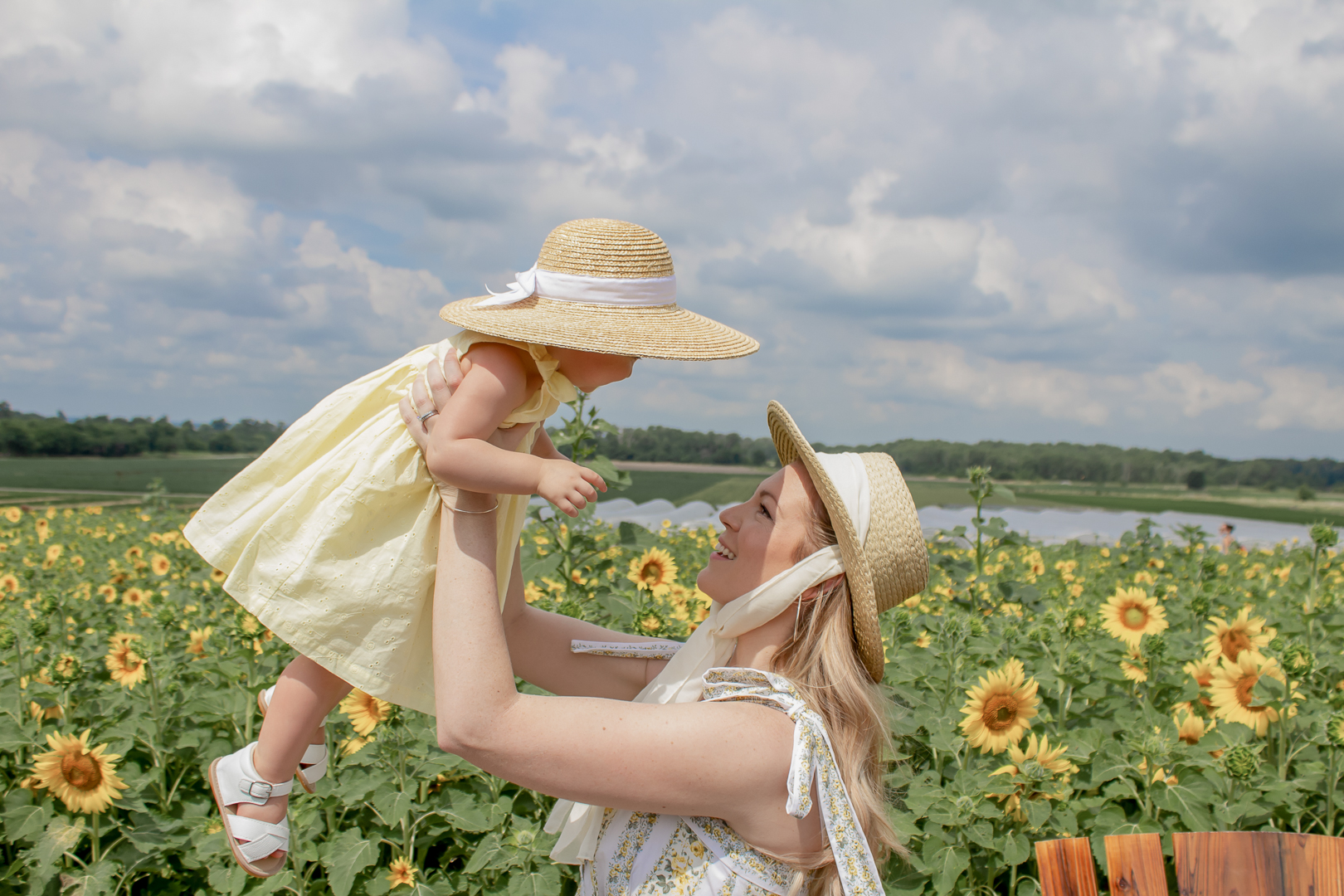 Sunflower Fields 15