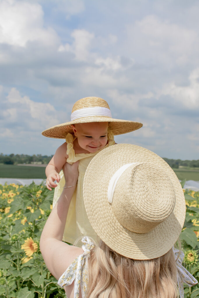 Sunflower Fields 11